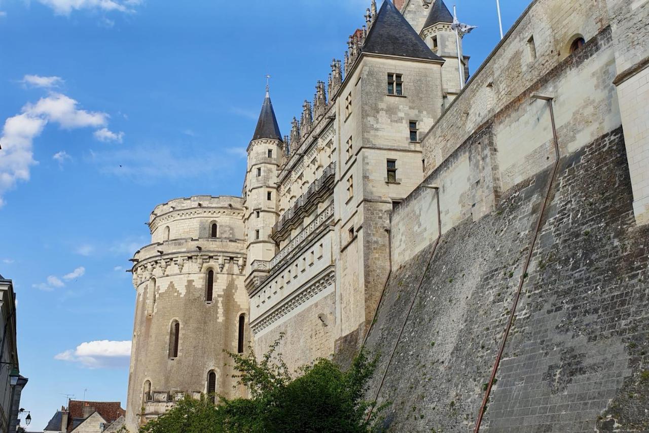 Splendid Apartment At The Foot Of The Castle Of Amboise - View Of The Loir المظهر الخارجي الصورة