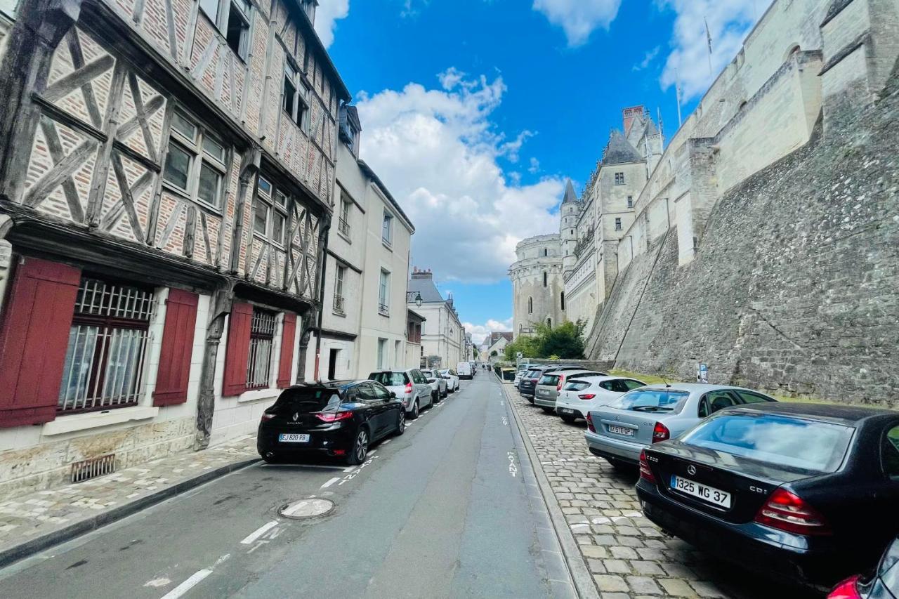 Splendid Apartment At The Foot Of The Castle Of Amboise - View Of The Loir المظهر الخارجي الصورة