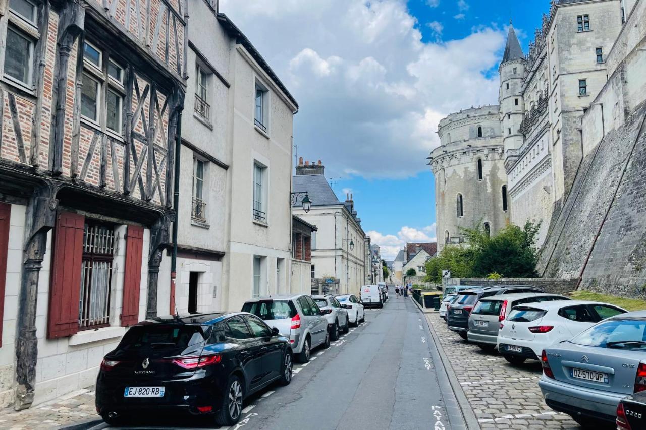 Splendid Apartment At The Foot Of The Castle Of Amboise - View Of The Loir المظهر الخارجي الصورة